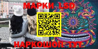 a pvp Свободный