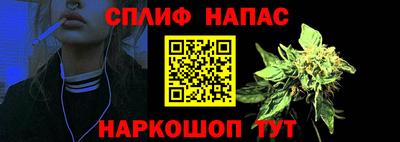 a pvp Свободный