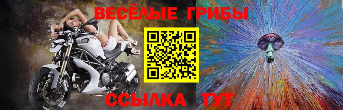 Полысаево  Галлюциногенные грибы Cubensis  Вход с VPN  Псилоцибиновые грибы Psilocybe 