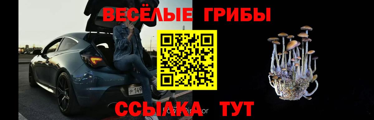 Псилоцибиновые грибы Psilocybe Полысаево